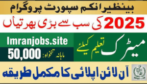 BISP Jobs 2025 Apply Online Now